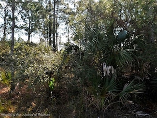 0 Sword St, North Port, FL 34288