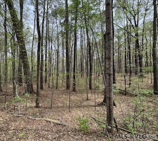 0 Forest Hill Dr, Littleton, NC 27850