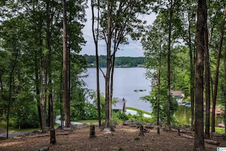 58 Sunset Point, Highland Lake, AL 35121