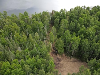 Parcel A County Road 35, Lake Jessie Township, MN 56636