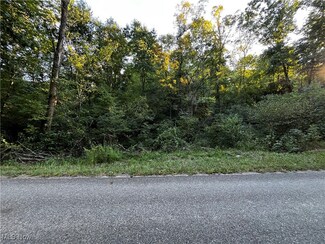 0 Township Road 432 Unit 5067024, Conesville, OH 43811