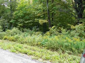 00 Shadow Lake Rd Unit Lot  8, Concord, VT 05824