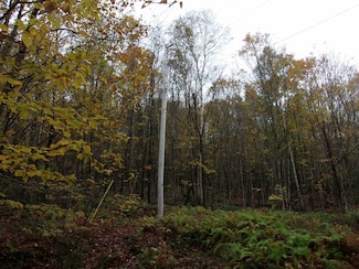 0 Foliage Ln, Westmore, VT 05822