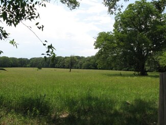 TBD van Zandt County Road 1111, Grand Saline, TX 75140