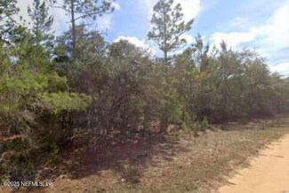 0000 Brett Ave, Interlachen, FL 32148
