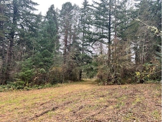 0 NW Plainview Rd, Portland, OR 97231