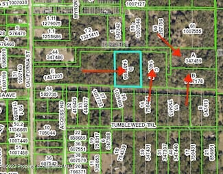 0 Texas Trail Unit 2253936, Brooksville, FL 34604
