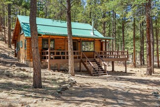 9 CR N 1029 St, Greer, AZ 85927