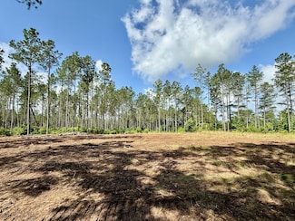Ms-393, Louisville, MS 39339