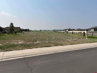 TBD Torrence Dr, Montrose, CO 81401