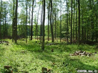 Lot 19 Briggs Bay Ave, Lenox, NY 13032