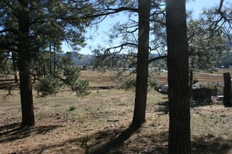 001C Cr 2051, Alpine, AZ 85920