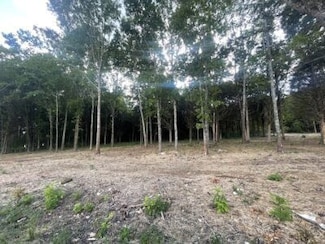 0 Atkinson Rd, Lebanon, TN 37090