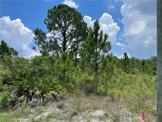 2719 34th St W, Lehigh Acres, FL 33971