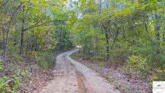 80 +/- Acres Proctor Rd, Gravois Mills, MO 65037