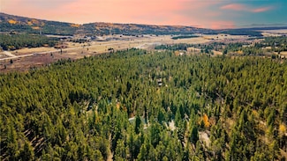 235 Willow Ln, Fairplay, CO 80440