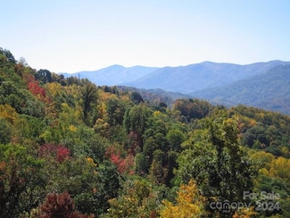 0 Rimrock Ridge Unit Fsect2 CAR4172076, Clyde, NC 28721