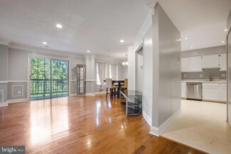 14726 Valiant Terrace Unit 14-151, Burtonsville, MD 20866