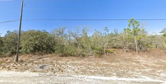 15095 Snowy Owl Ave, Brooksville, FL 34614