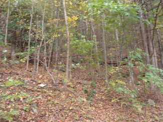 TBD Cascade Trail, Fancy Gap, VA 24328