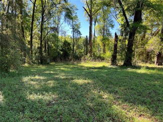 0 NW 197 Terrace, Alachua, FL 32615