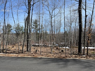 222 Butters Hill Rd, Stoneham, ME 04231