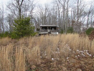 0 Leading Creek Rd Unit 3878508, Big Springs, WV 26137