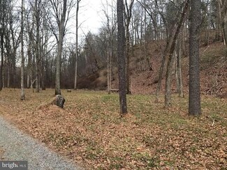 Lot 101 Mossy Oaks Rd, Yellow Spring, WV 26865