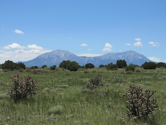 0 Huajatolla Blvd Unit Lot 829, 830 25-587, Walsenburg, CO 81089