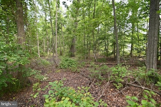 Parcel 480 Indian Head Dr, Indian Head, MD 20640