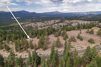 321 Eagles Nest, Portola, CA 96122