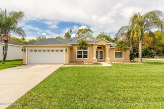 3787 Birch Mountain Rd, Port Orange, FL 32129