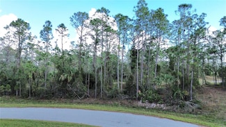 0 Latour Ave Unit MFRC7502183, North Port, FL 34291