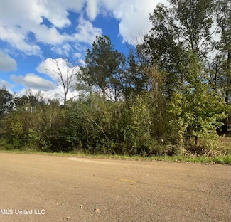 0 W Lake Dockery Dr Unit 4096050, Byram, MS 39272