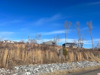 147 Cambridge Shores Dr, Gilbertsville, KY 42044