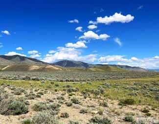 49 Peterson Creek Rd, Leadore, ID 83464