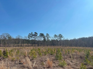 0 Greensboro Rd Unit 22774623, Crawfordville, GA 30631