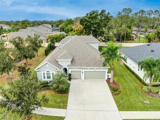1129 Tracey Ann Loop, Seffner, FL 33584
