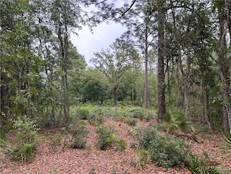 0 S Slash Pine Ave Unit 844572, Homosassa Springs, FL 34446