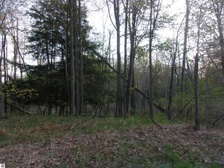00 Twining Rd, Twining, MI 48766