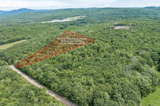 0 Phineas Graves Rd Unit 5040078, Center Tuftonboro, NH 03816
