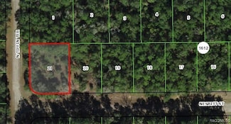 1031 E Nesbitt, Citrus Springs, FL 34434