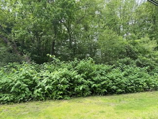 2 Sandra Ave, Terryville, CT 06786