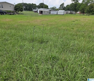 112 Morning Dove Way Unit 6, Vincent, AL 35178
