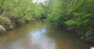 1051 Pate Rd Unit Tract 6, Cragford, AL 36255