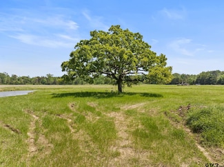 Lot A County Road 3324, Pittsburg, TX 75686