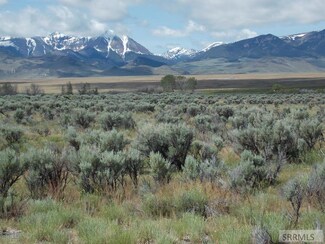 999 Furey Ln, Pahsimeroi Valley, ID 83251
