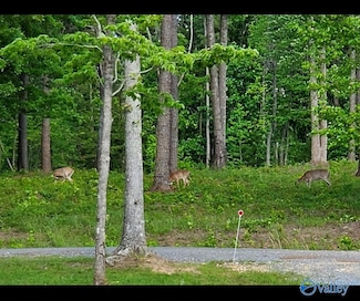 1805 County Road 103 Unit 46 , 47, Mentone, AL 35984
