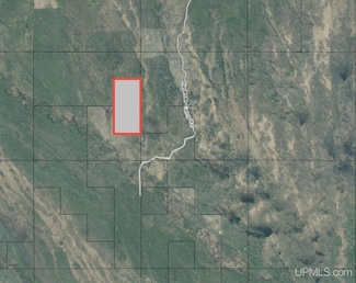 TBD Hartman Camp Rd, Manistique, MI 49854