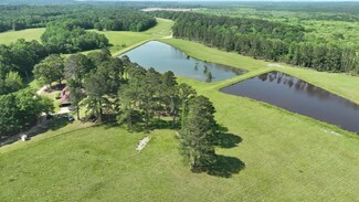 Highway 239, Smuteye, AL 36000